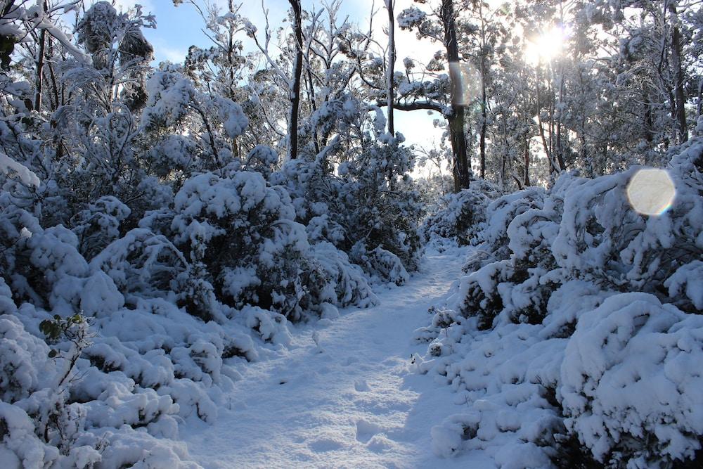 Cradle Mountain Hotel Buitenkant foto